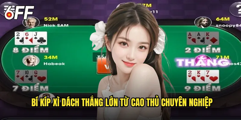 Bí Kíp Xì Dách Thắng Lớn Từ Cao Thủ Chuyên Nghiệp